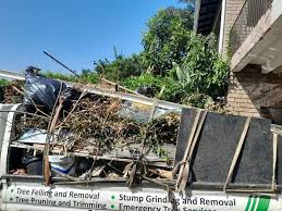 Best Hoarding Cleanup  in Level Green, PA